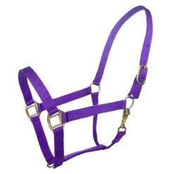 Tabelo Nylon Halter W/Snap 30 Tabelo Nylon Halter W/Snap -Horse Supply Store TE079015 911831 01