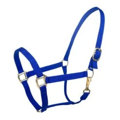 Tabelo Nylon Halter W/Snap 34 Tabelo Nylon Halter W/Snap -Horse Supply Store TE079015 911835 01