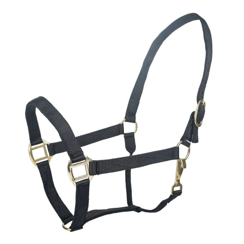 Tabelo Nylon Halter W/Snap 21 Tabelo Nylon Halter W/Snap - Image 19