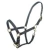 Tabelo Arab Nylon Halter W/Snap -Horse Supply Store TE079016 911857 01