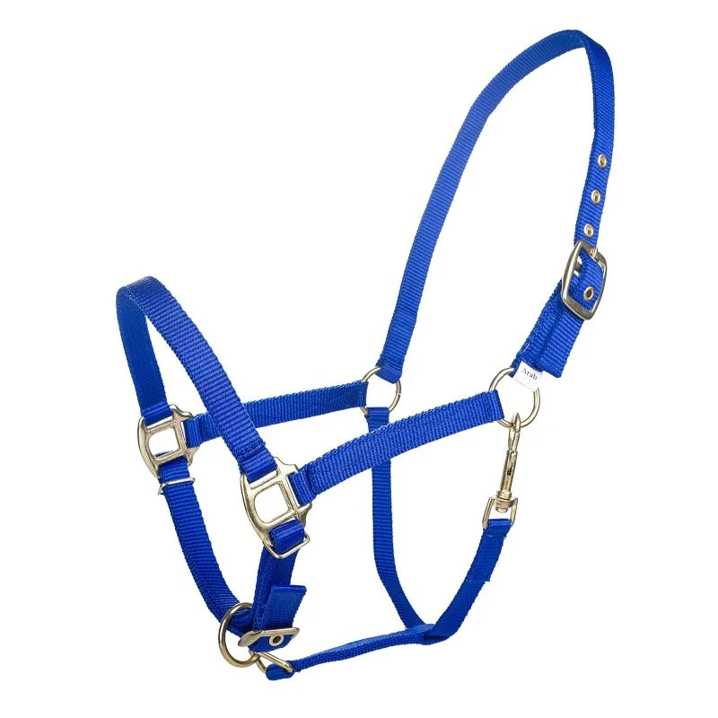 Tabelo Arab Nylon Halter W/Snap 4 Tabelo Arab Nylon Halter W/Snap - Image 2