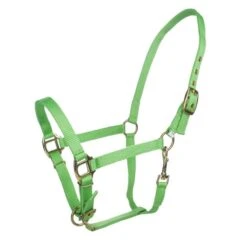 Tabelo Arab Nylon Halter W/Snap 14 Tabelo Arab Nylon Halter W/Snap -Horse Supply Store TE079016 911860 01
