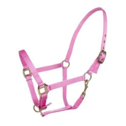 Tabelo Arab Nylon Halter W/Snap 16 Tabelo Arab Nylon Halter W/Snap -Horse Supply Store TE079016 911862 01