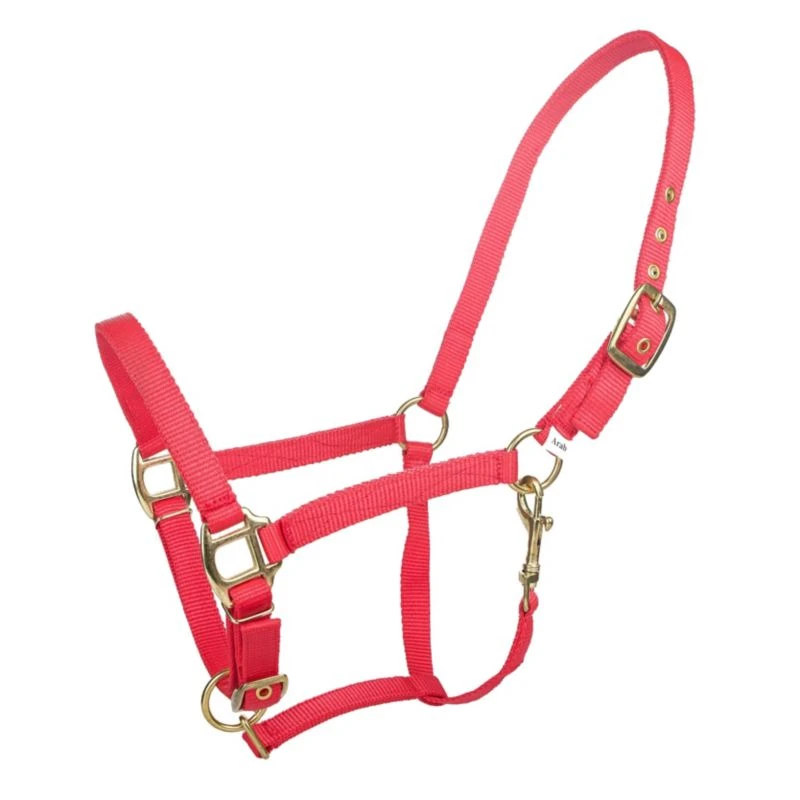 Tabelo Arab Nylon Halter W/Snap 10 Tabelo Arab Nylon Halter W/Snap - Image 8