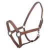 Tabelo Leather Halter W/Snap -Horse Supply Store TE079029 911958 01
