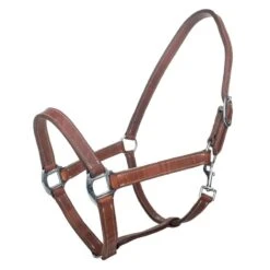 Tabelo Leather Halter W/Snap
