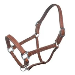 Tabelo Leather Halter W/Adj Chin