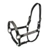 Tabelo Leather Halter With Silver -Horse Supply Store TE079032 911961 01