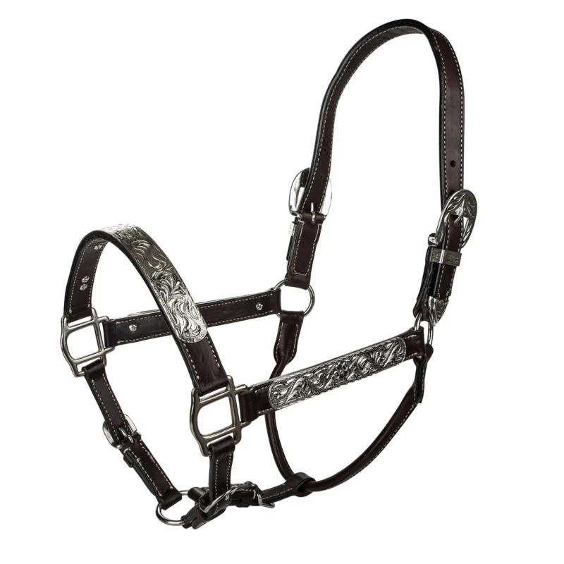 Tabelo Leather Halter With Silver 4 Tabelo Leather Halter With Silver - Image 2