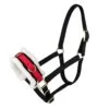 Tabelo Deluxe Nylon Training Caveson Black/Red 2 Tabelo Deluxe Nylon Training Caveson Black/Red -Horse Supply Store TE085085 P