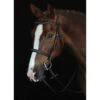 Collegiate Mono Fancy Raised Cavesson -Horse Supply Store TE223186 P