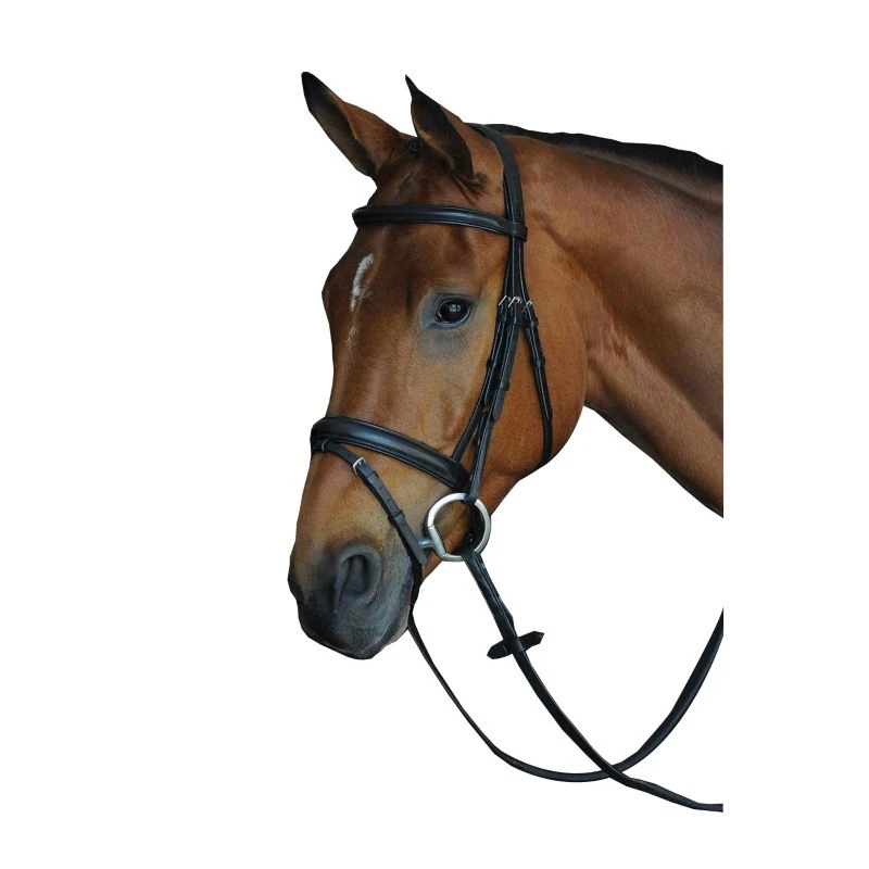 Collegiate CC Pad Raised Flash Bridle 3 Collegiate CC Pad Raised Flash Bridle