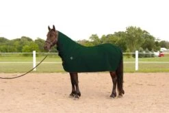 Wiksmart Cooler 60 - 64 Green