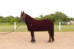 Wiksmart Cooler 66 - 70 Burgundy