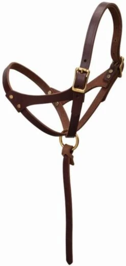 Weaver Leather Weaver Figure 8 Foal Halter