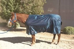 Deluxe Blanket - 840 D -Horse Supply Store TP03198 514169 01