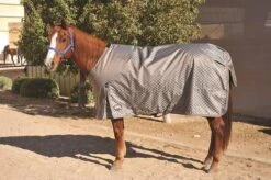 Deluxe Blanket - 840 D -Horse Supply Store TP03198 514171 01