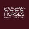 Life Is Good Hoodie -Horse Supply Store TRCB46 P