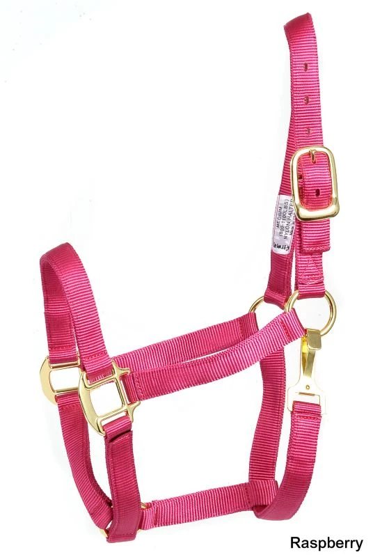 Deluxe 3-Ply Nylon Halter W/Snap 6 Deluxe 3-Ply Nylon Halter W/Snap - Image 4