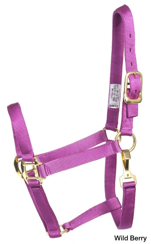 Deluxe 3-Ply Nylon Halter W/Snap 9 Deluxe 3-Ply Nylon Halter W/Snap - Image 7