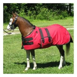 Ozark Mini/Pony Roustabout Blanket -Horse Supply Store TSLT900871 01