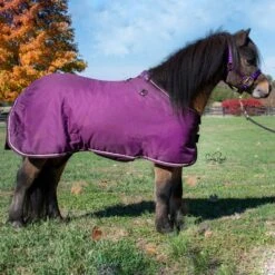 Ozark Mini/Pony Roustabout Blanket -Horse Supply Store TSLT900871 04
