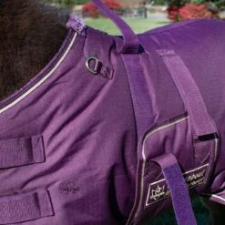 Ozark Mini/Pony Roustabout Blanket -Horse Supply Store TSLT900871 07