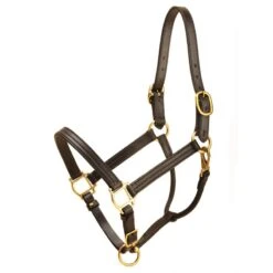 Tory Triple Stitch Halter W/Snap -Horse Supply Store TSLT901686 839025