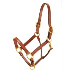 Tory Triple Stitch Halter W/Snap -Horse Supply Store TSLT901686 839026