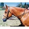 Tory Premium Leather German Martingale 2 Tory Premium Leather German Martingale -Horse Supply Store TSLT901703 143479